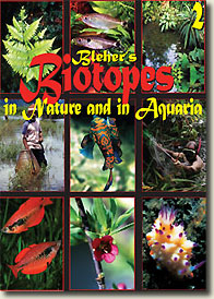 Blehers Biotope in der Natur und im Aquarium – 2