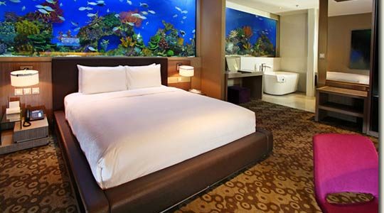 The new H2O Hotel with a giant aquarium in every room