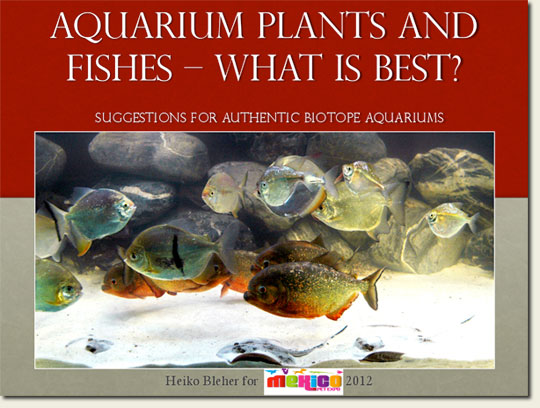 aquarium-plants-and-fishes_mexico2012_en.jpg
