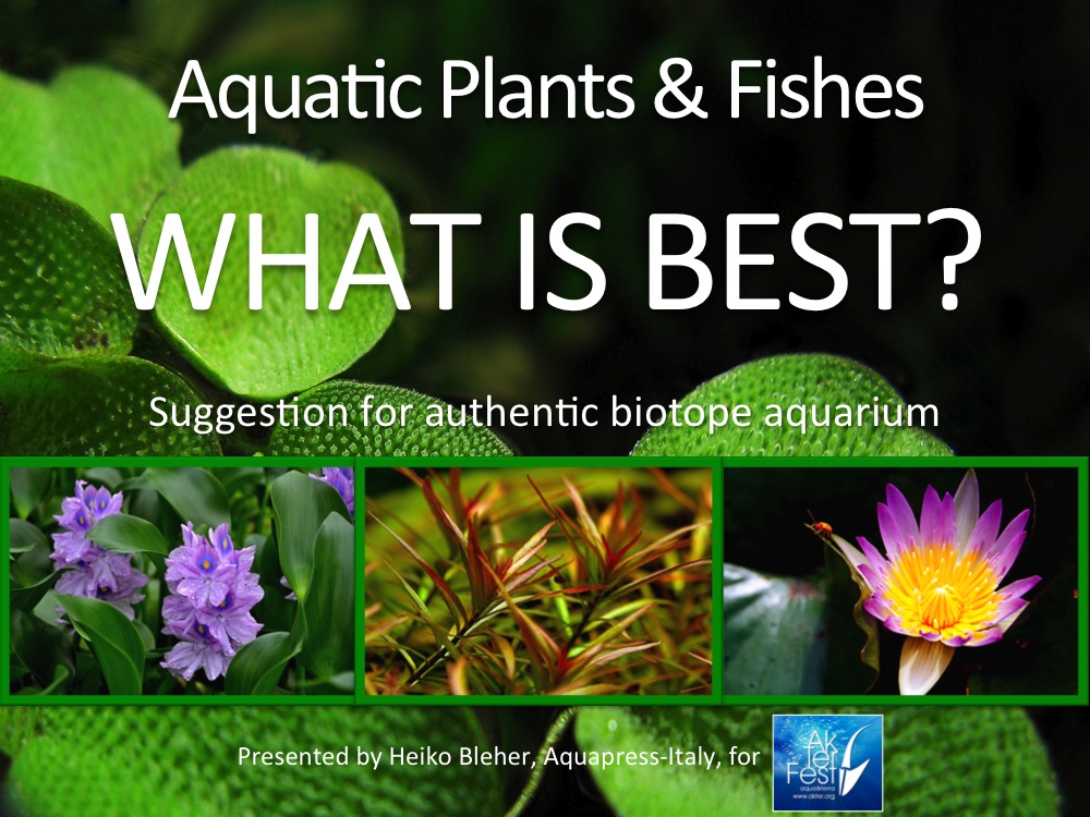 2 Aquatic plants Croatia2013
