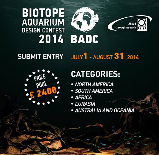 Biotope Aquarium Contest