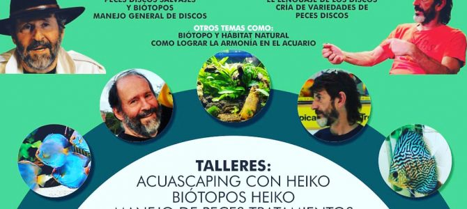 CONFERENCE AT TALLER – COLOMBIA, 2019