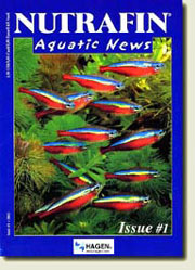 Nutrafin Aquatic News